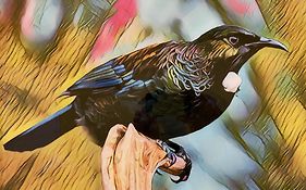 Birch Court - Tui